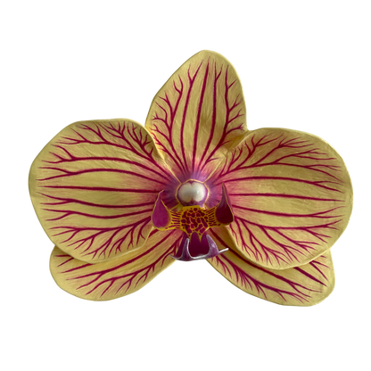 Wall Oria Flowers
