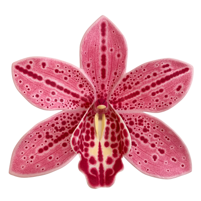 Wall Oria Flowers