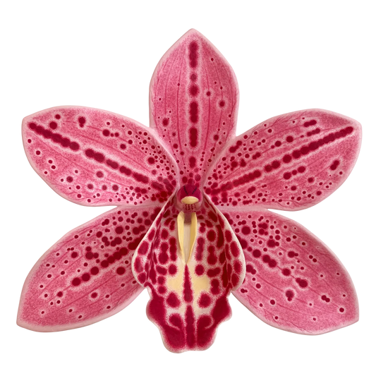 Wall Oria Flowers