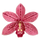 Wall Oria Flowers